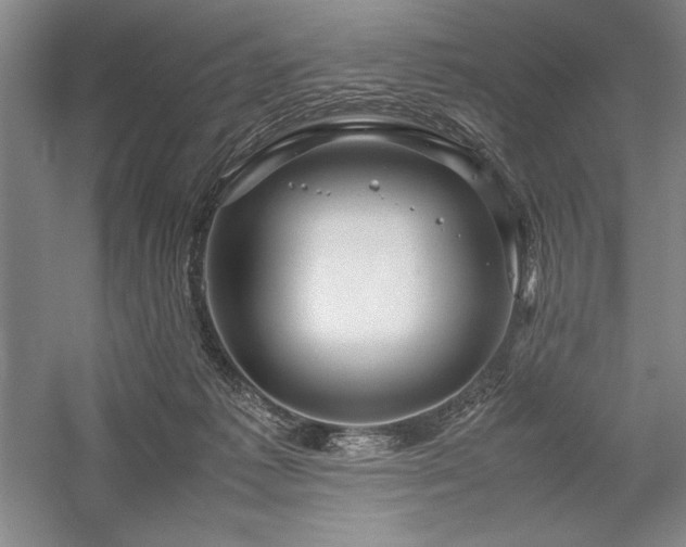 X0000057100221200509091212