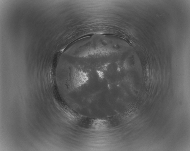 X0000057100222200509091212