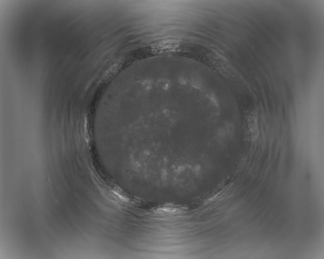 X0000057100224200509091212