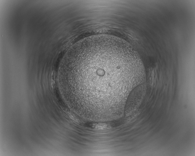 X0000057100230200509091212