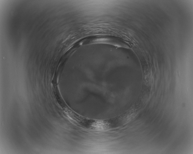 X0000057100231200509091212