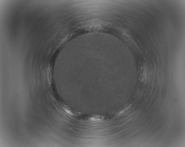 X0000057100232200509091212