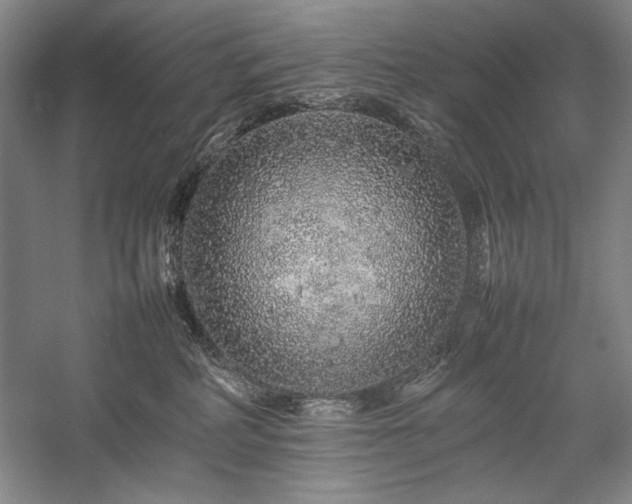 X0000057100234200509091212