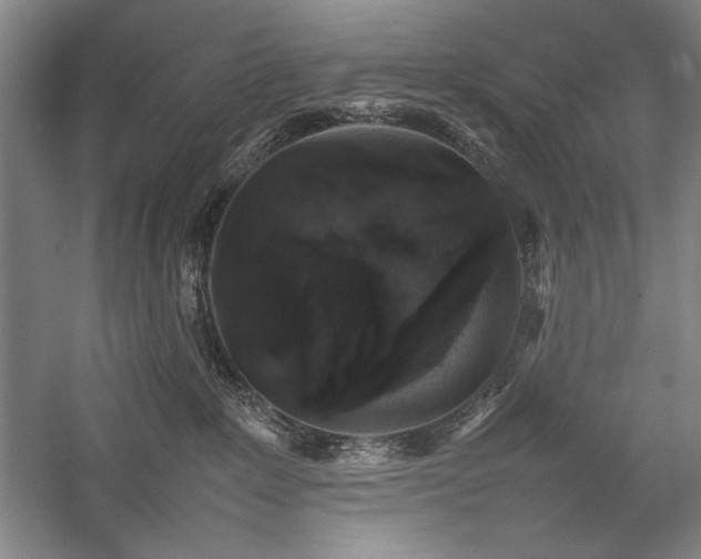 X0000057100235200509091212