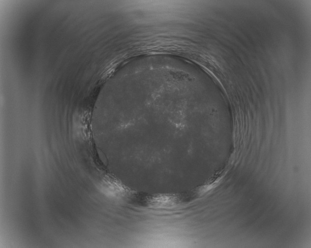 X0000057100237200509091212