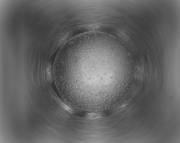 X0000057100238200509091212