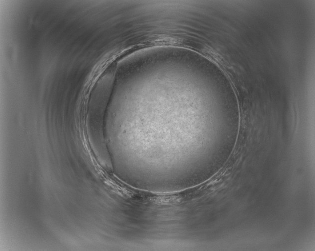 X0000057100241200509091211