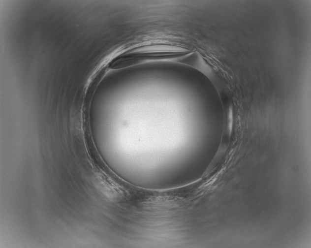 X0000057100244200509091211