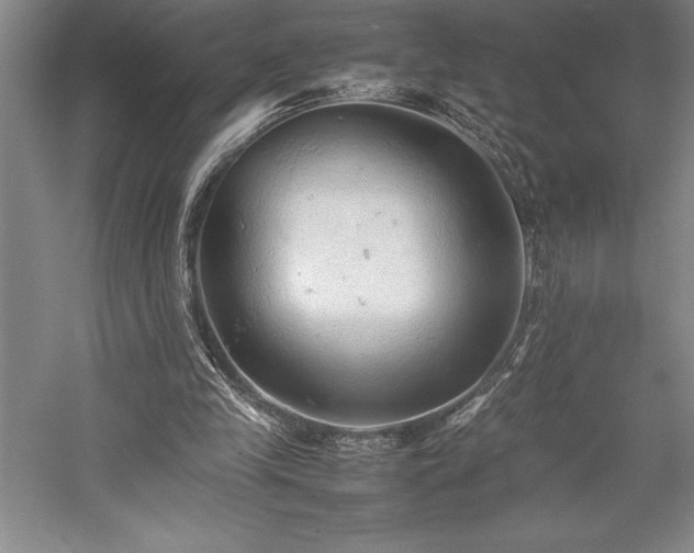 X0000057100245200509091211