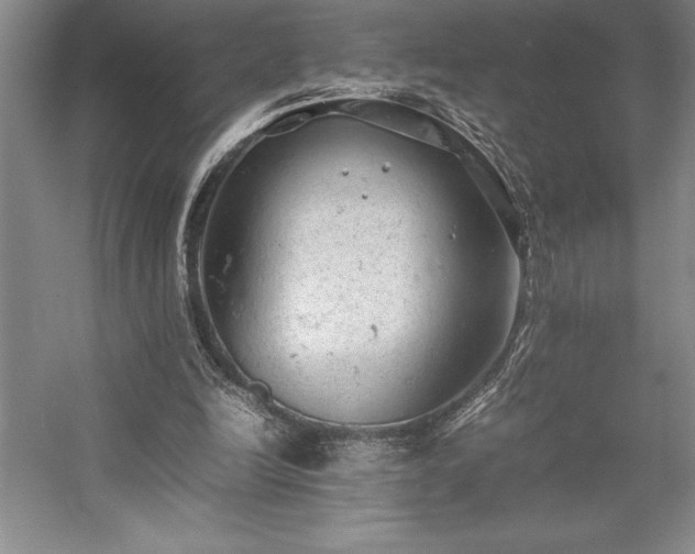 X0000057100246200509091211