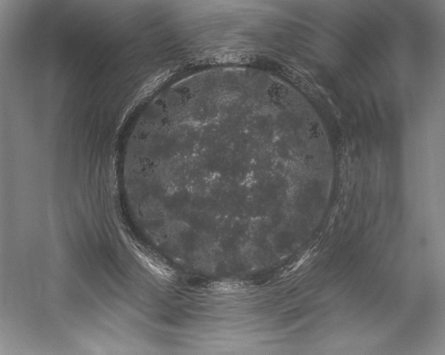 X0000057100250200509091211