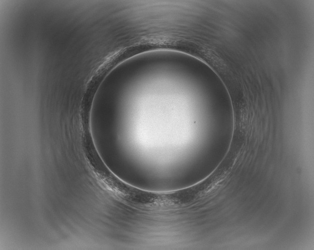 X0000057100256200509091211