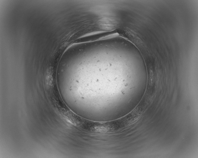 X0000057100259200509091211