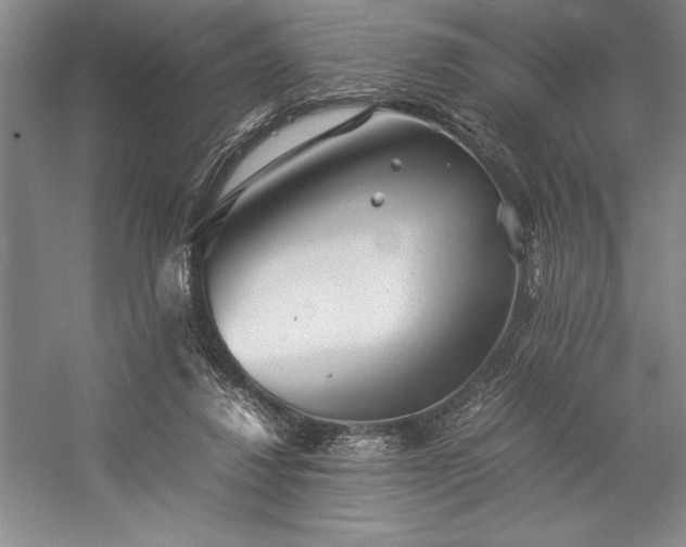 X0000057100260200509091211