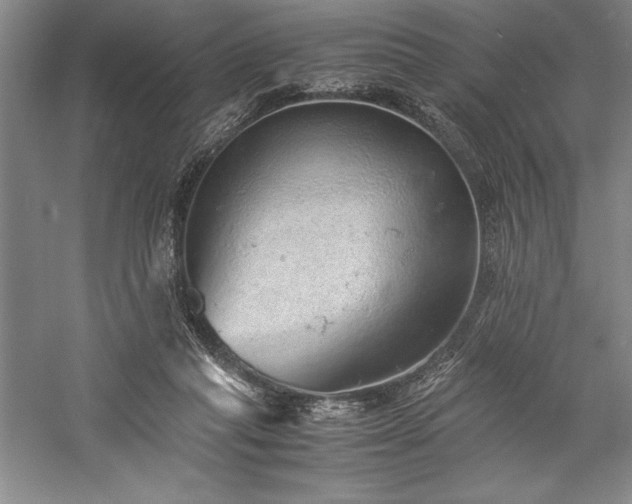 X0000057100261200509091211