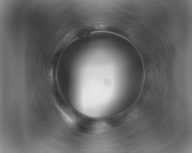 X0000057100262200509091211