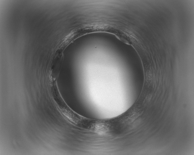 X0000057100264200509091211