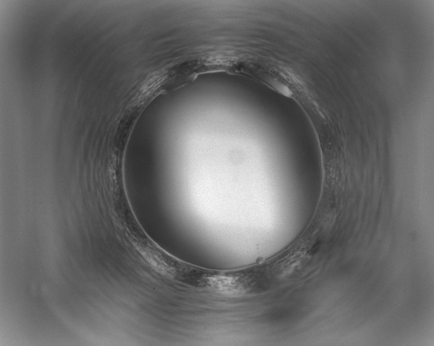 X0000057100265200509091211