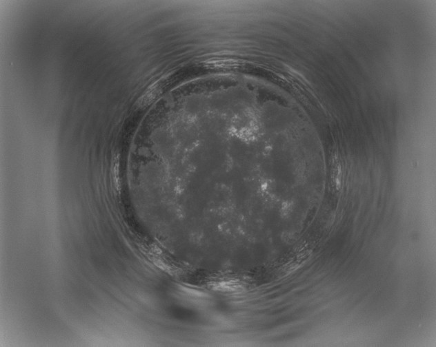 X0000057100267200509091211