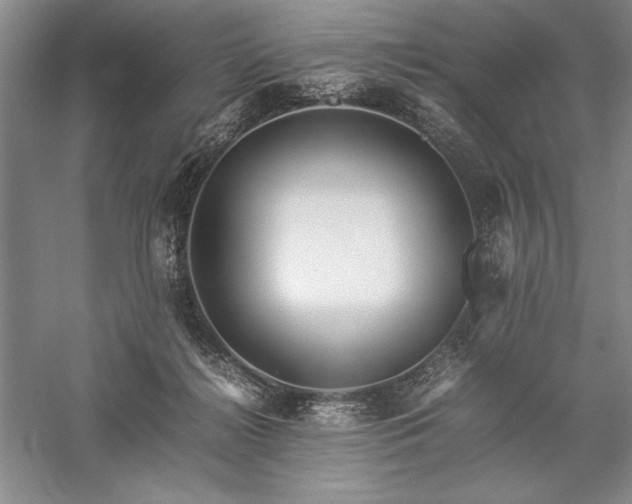 X0000057100268200509091211