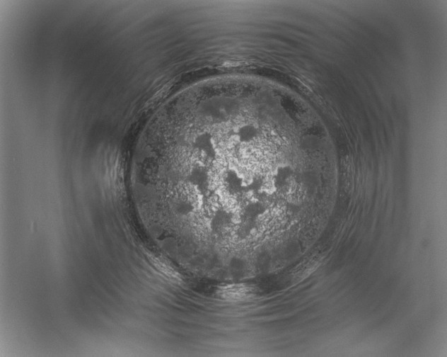 X0000057100269200509091211