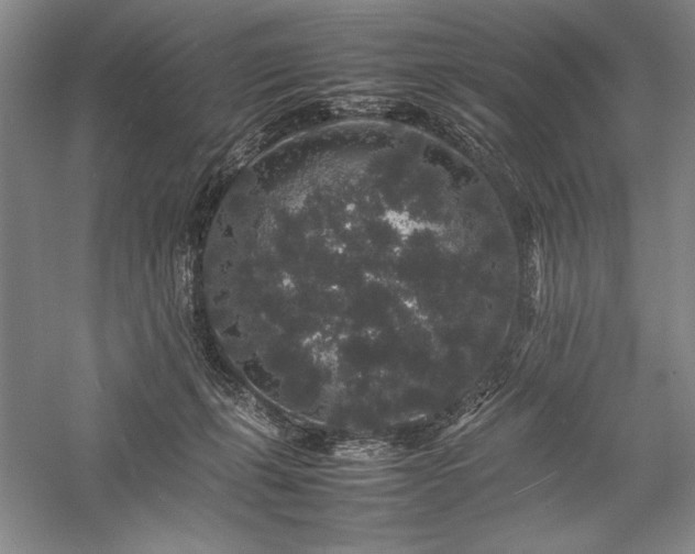 X0000057100271200509091211