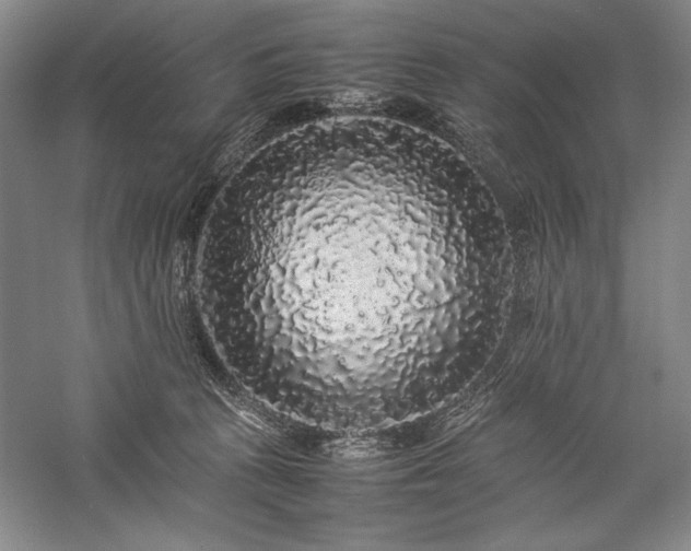 X0000057100273200509091211