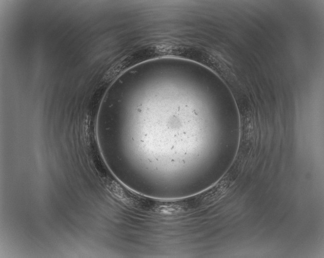 X0000057100275200509091211