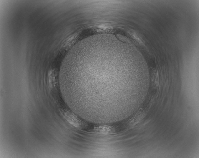 X0000057100276200509091211