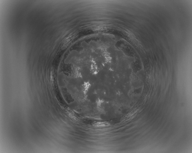 X0000057100277200509091211