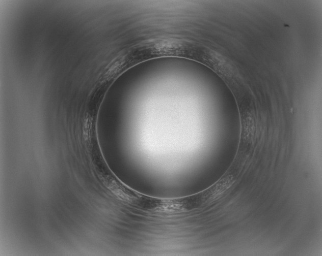 X0000057100278200509091211