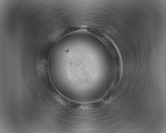 X0000057100280200509091211