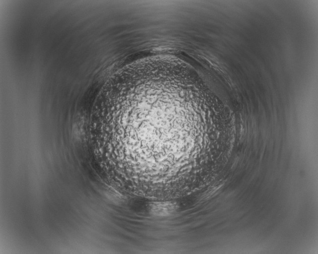 X0000057100281200509091211