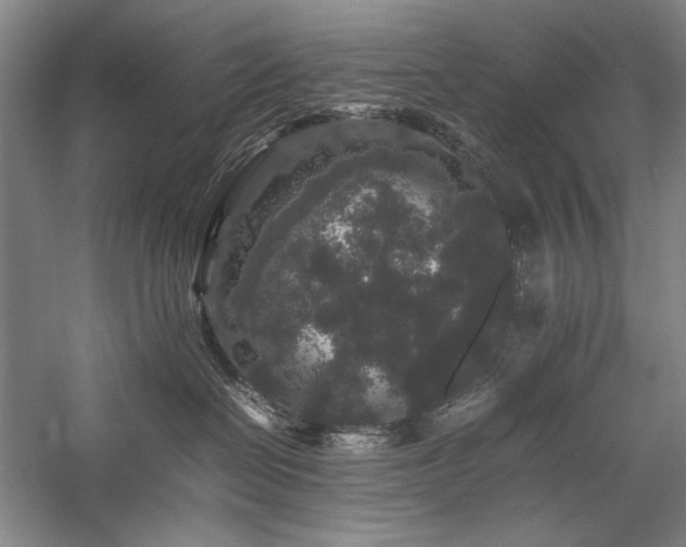 X0000057100286200509091211