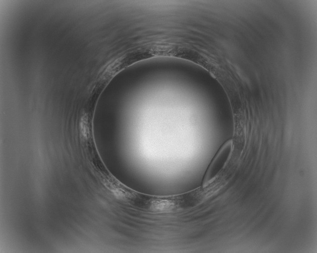 X0000057100287200509091212