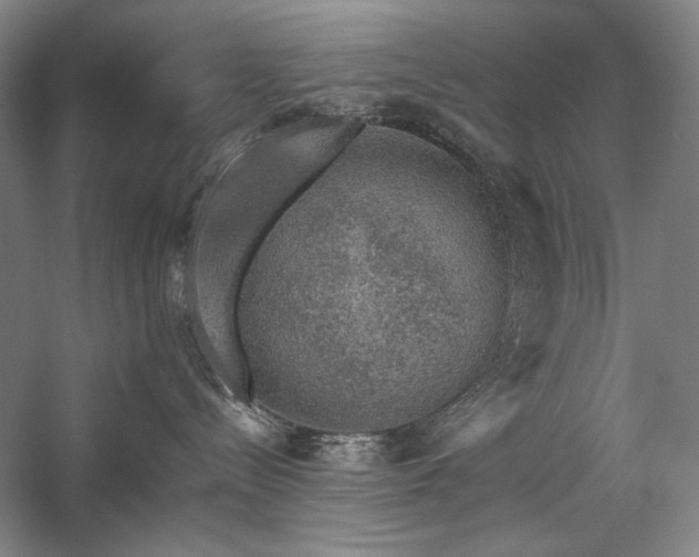 X0000057100288200509091212