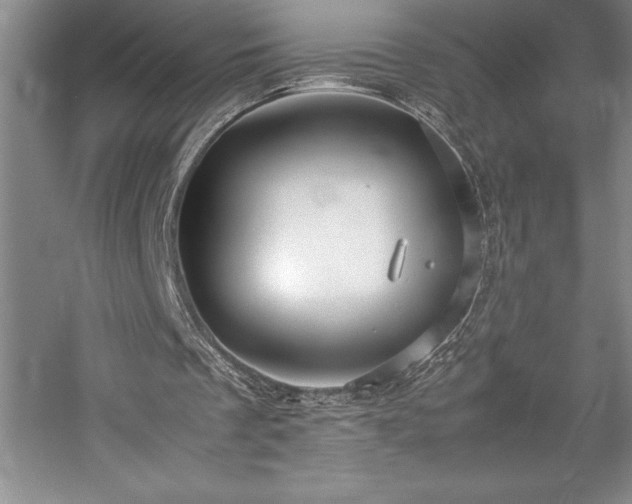 X0000057100289200509091211