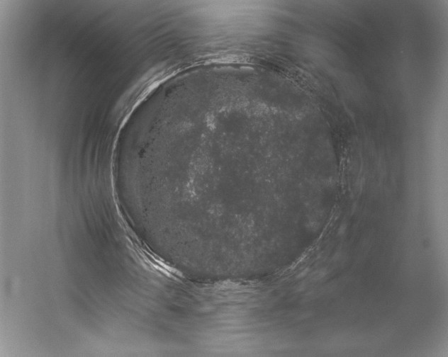 X0000057100290200509091211