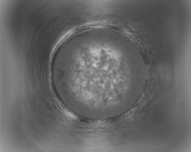 X0000057100293200509091211