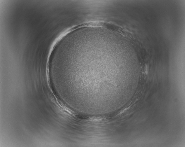 X0000057100294200509091211