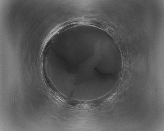 X0000057100295200509091211