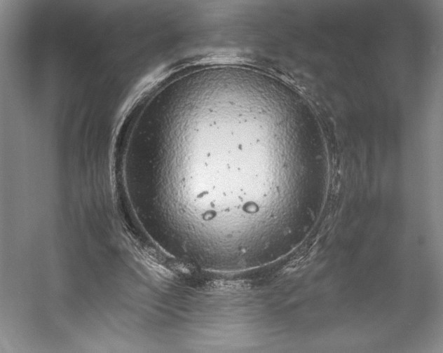 X0000057100296200509091211