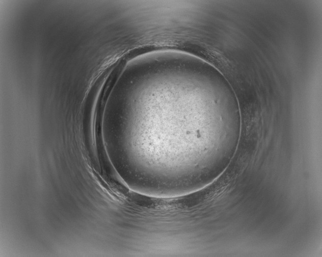 X0000057100299200509091211