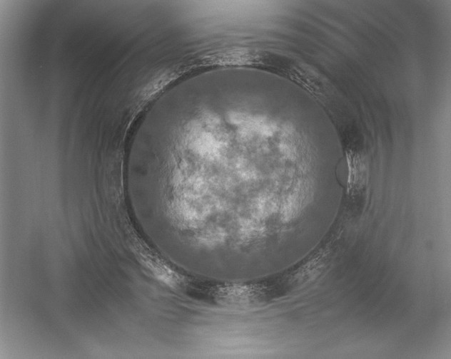 X0000057100301200509091211