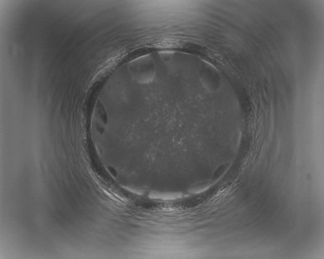 X0000057100303200509091210