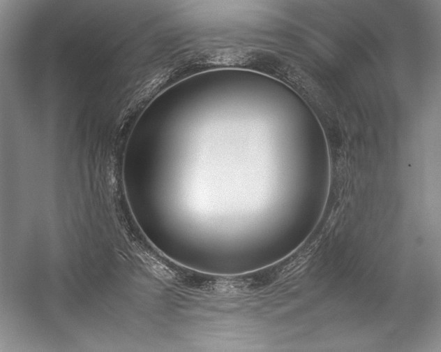 X0000057100305200509091210