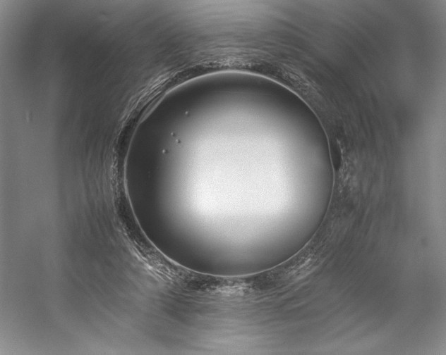 X0000057100306200509091210