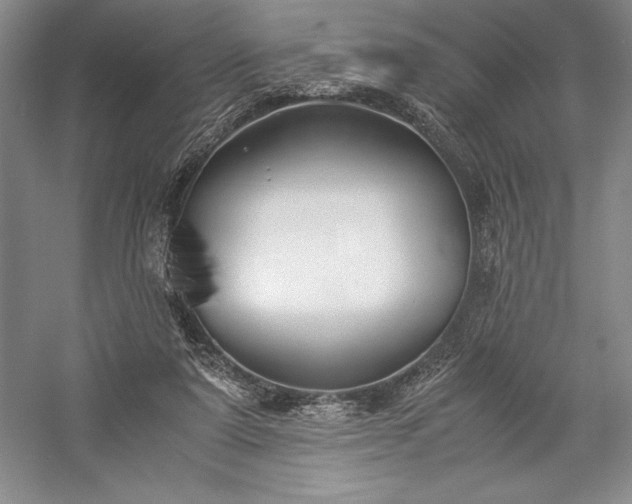 X0000057100307200509091210