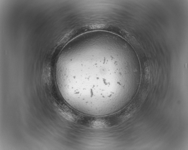 X0000057100308200509091210