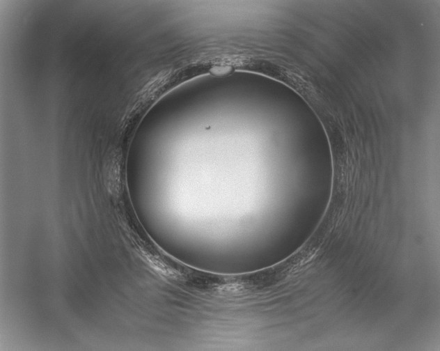 X0000057100309200509091210